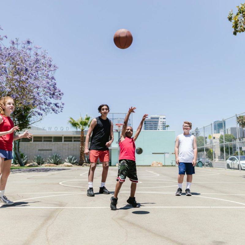 pexels-rdne-stock-project-8337275